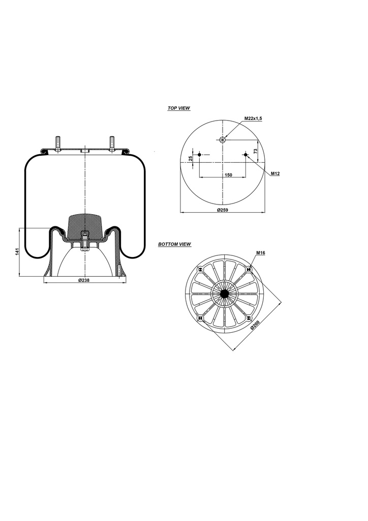 922618 CPP Air Spring Plastic Piston