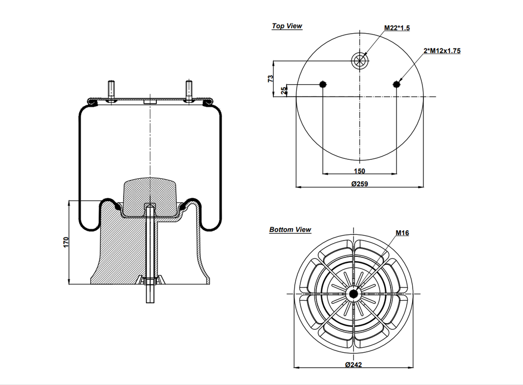 922621 CPP Air Spring Plastic Piston