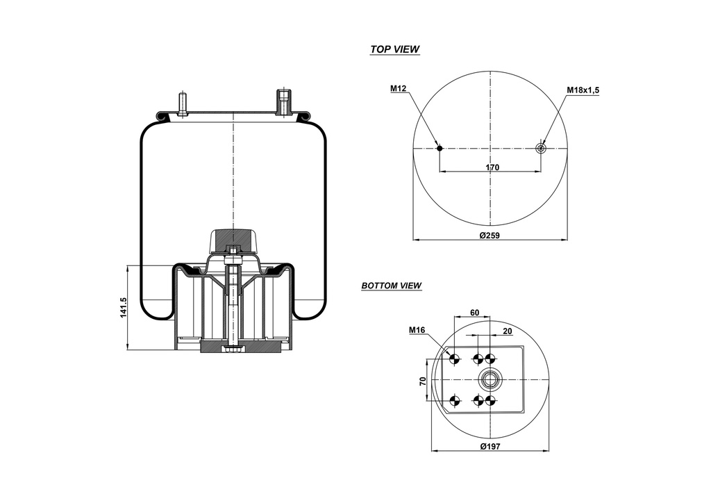 924940 CPP Air Spring Plastic Piston