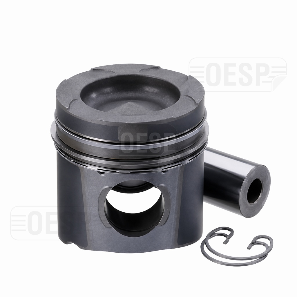 MOTOR PISTON WITH RING D 2876 TG-A