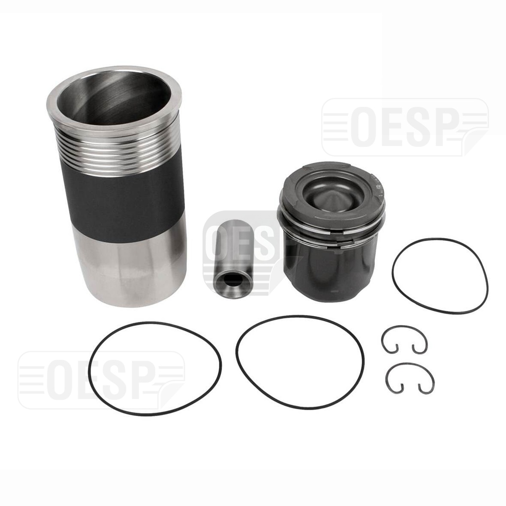 ASSEMBLE FULL SET D 2876 LF12 EURO III C.RAIL