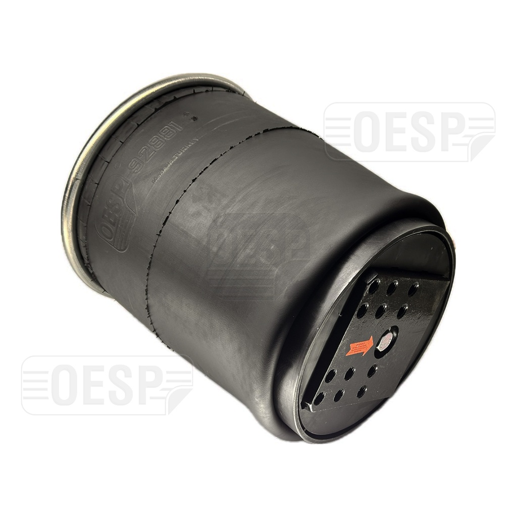 92881.01 KPP SÜSP.KÖRÜĞÜ PLASTİK PİSTONLU