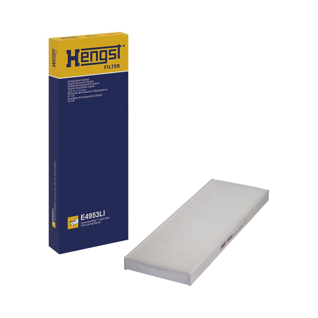Hengst E4953LI D611023001-001