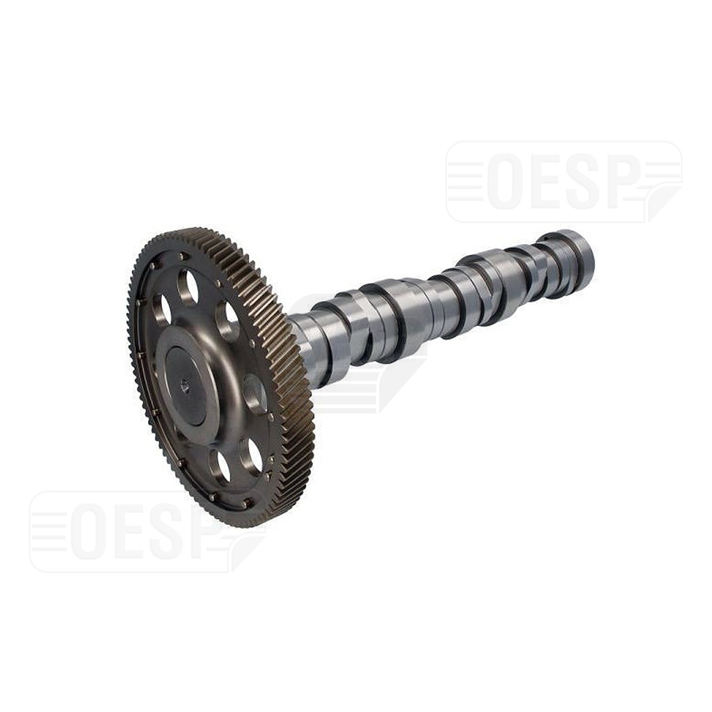 EKSANTRİK MİLİ 501 ACTROS EURO4-5