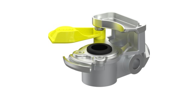 HAVA KAPLINI