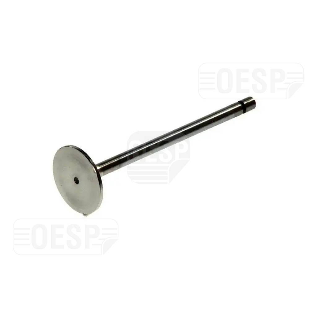 INTAKE VALVE