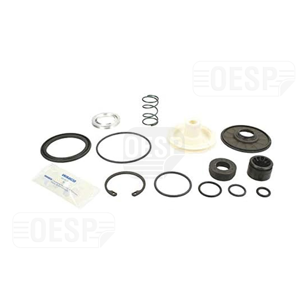 PLUNGER KIT