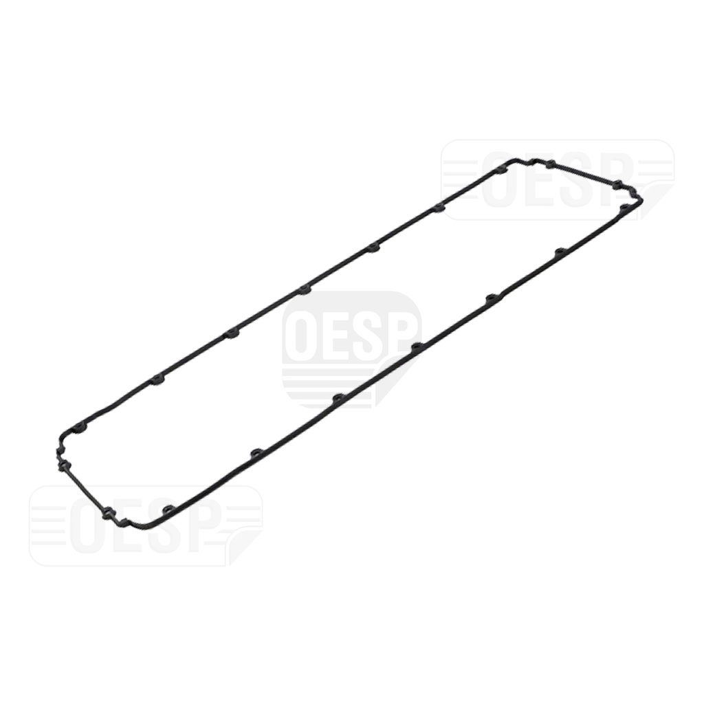 CYLINDER HEAD GASKET ATEGO OM904