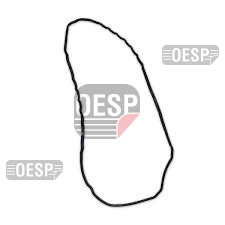 VOLVO FH CRANKCASE GASKET