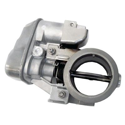 EXHAUST GAS FLAP