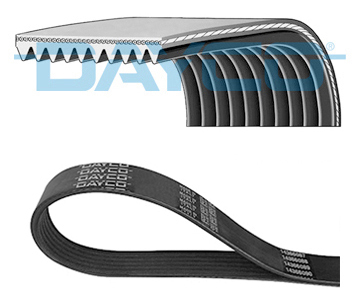 V-RIBBED COURROIE SCANIA