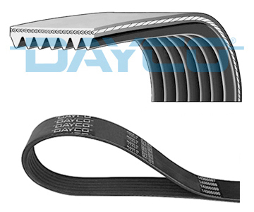 V-RIBBED РЕМЕНЬ DAF