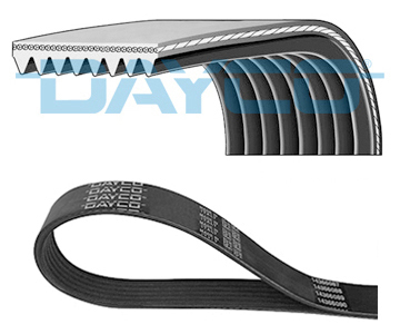 V-RIBBED RIEM MAN