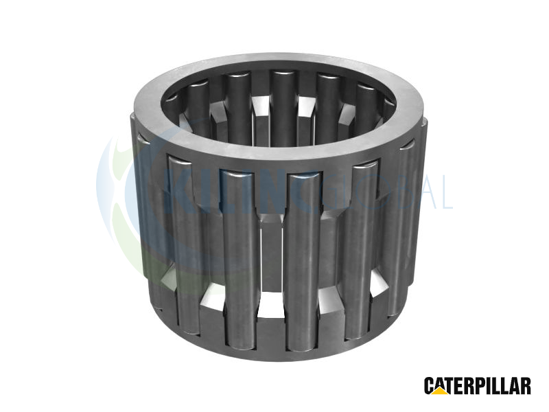 Radial Needle Roller Bearing