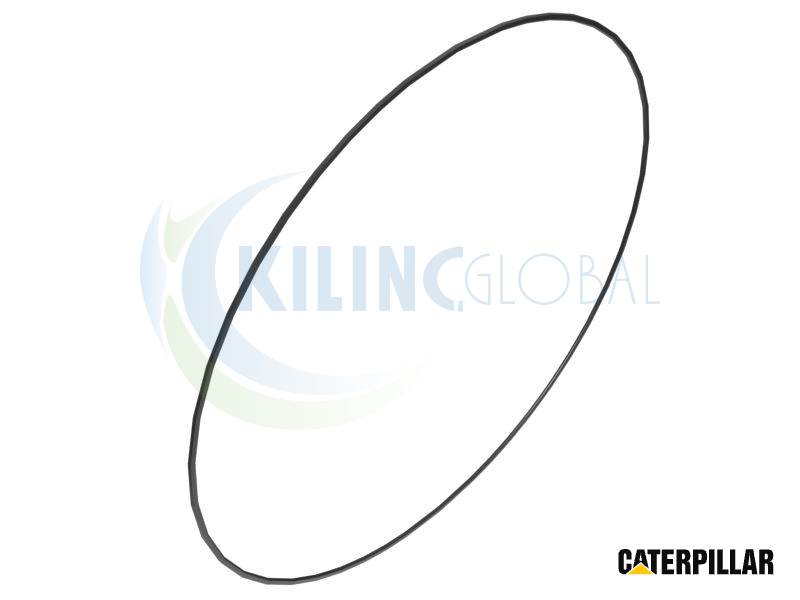 Black D Ring Seal
