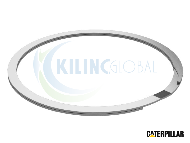 ANILLO-RETAINING