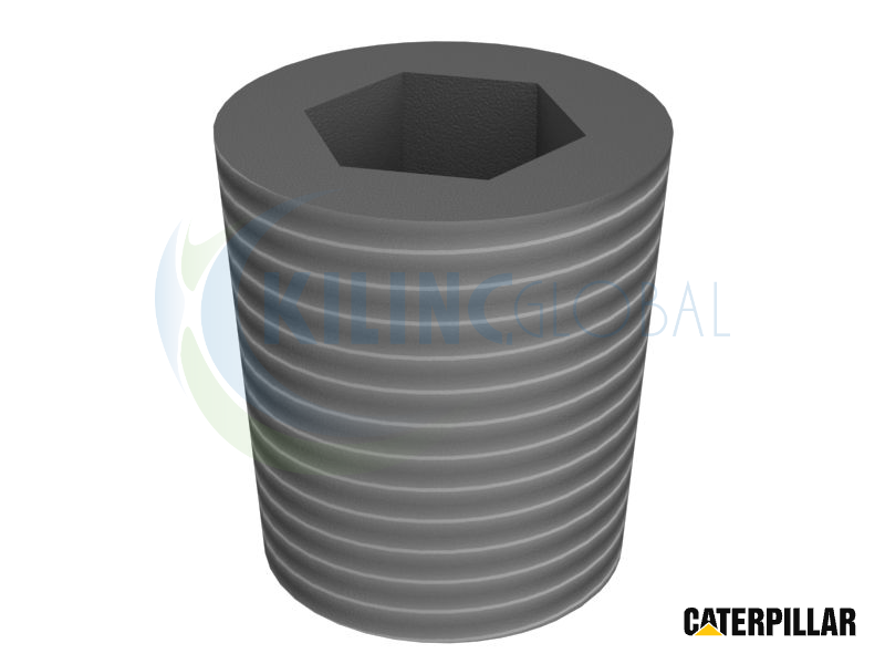 1/4-18 NPTF SCHROEFDRAAD HEX AANDRIJVING PLUG