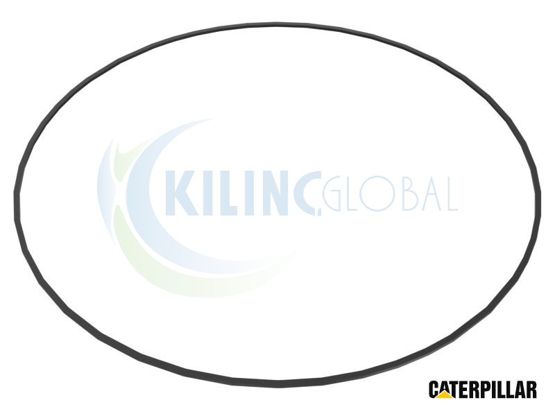 407.00MM INNER DIAMETER КОЛЬЦО САЛЬНИК