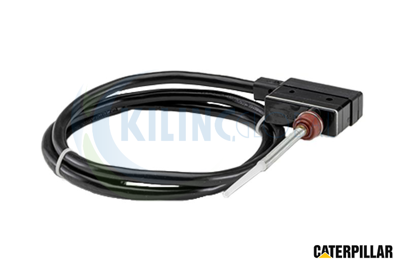 MOTOR REM SWITCH