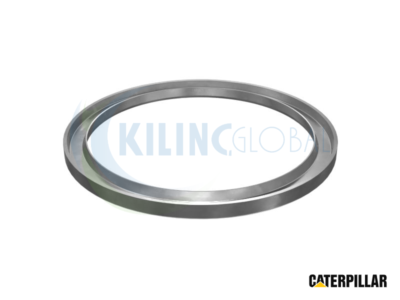 168.17MM OUTER DIAMETER LIP TYPE KEERRING