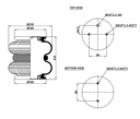 2B 220-03 Double Convulated Air Spring  (2B 220)(M12X.5 6H)