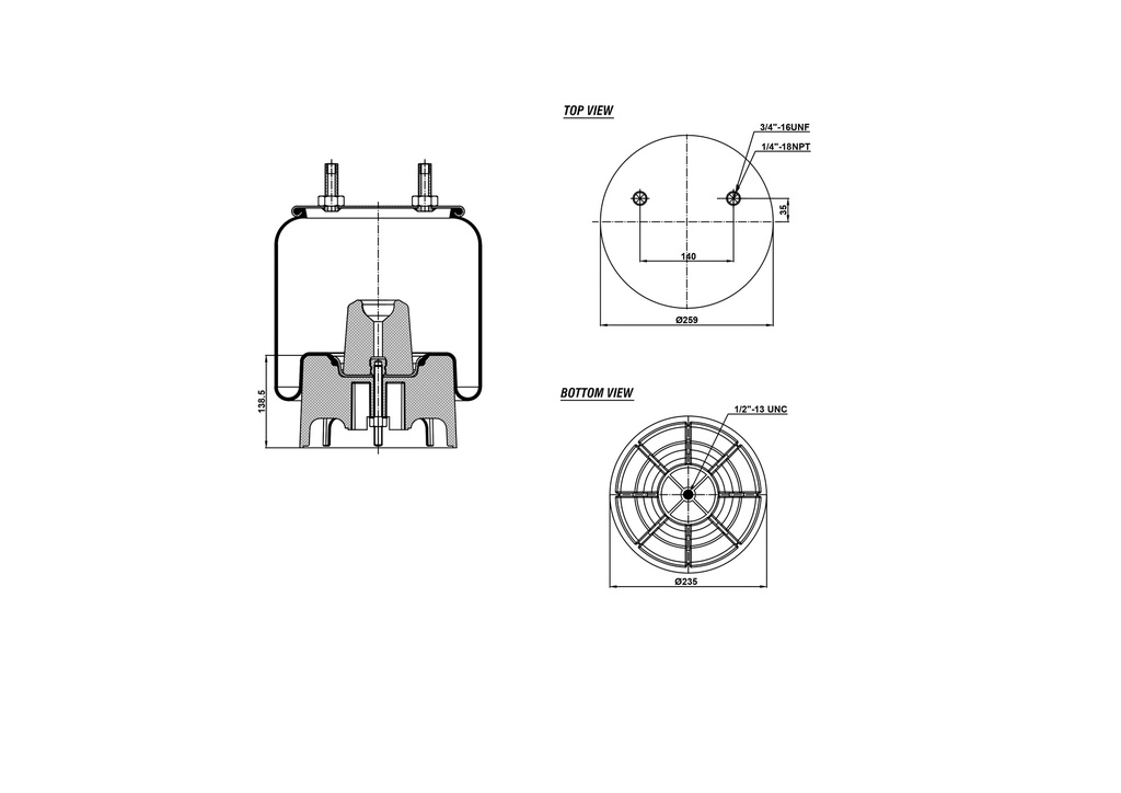 928713  CPP Air Spring Plastic Piston