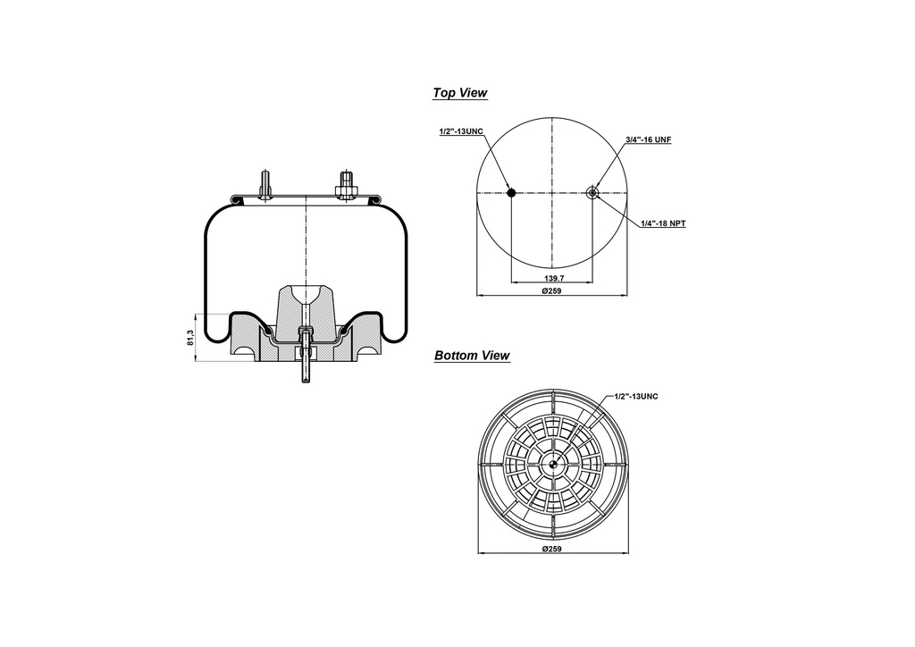 928729 CPP Air Spring Plastic Piston