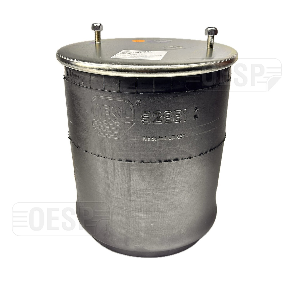 92881-01 CPP Air Spring Plastic Piston