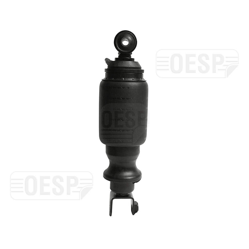 CABIN AIR SPRINGS  FRONT