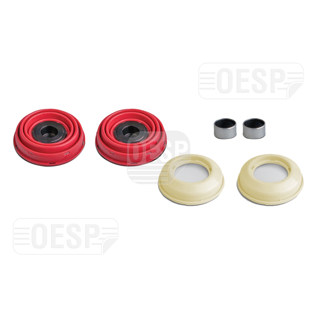 ZUIGER KLEPSTOTER & SEALS SET MP2