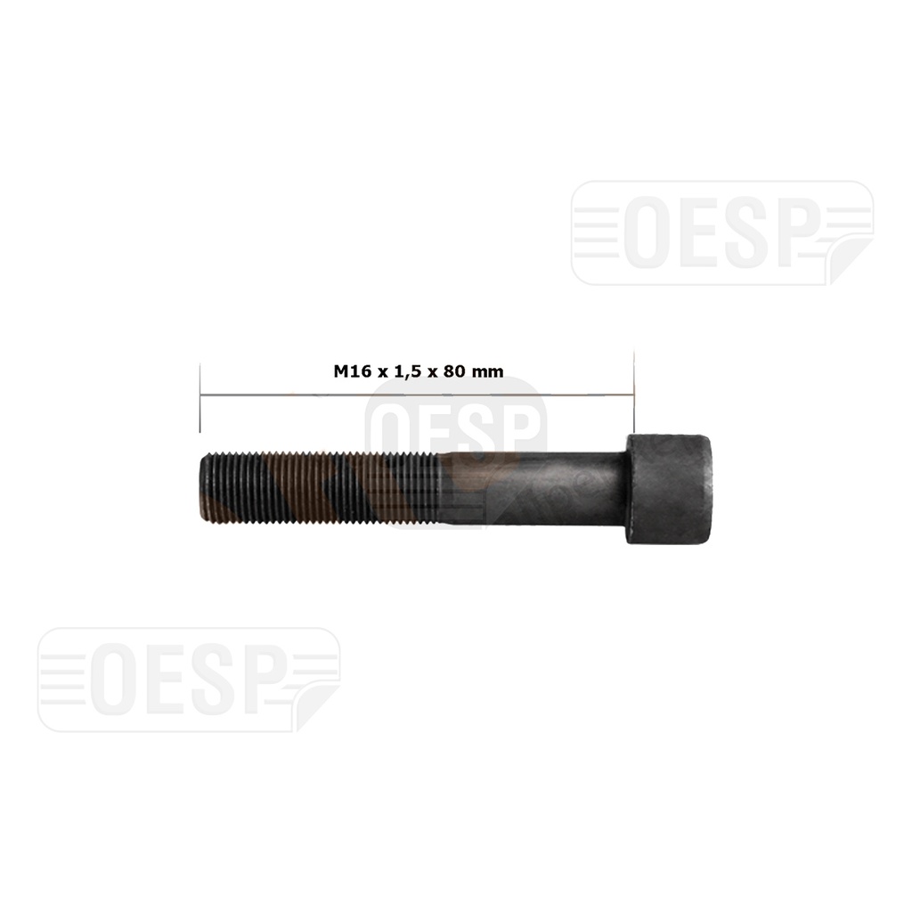 BOUT KORT