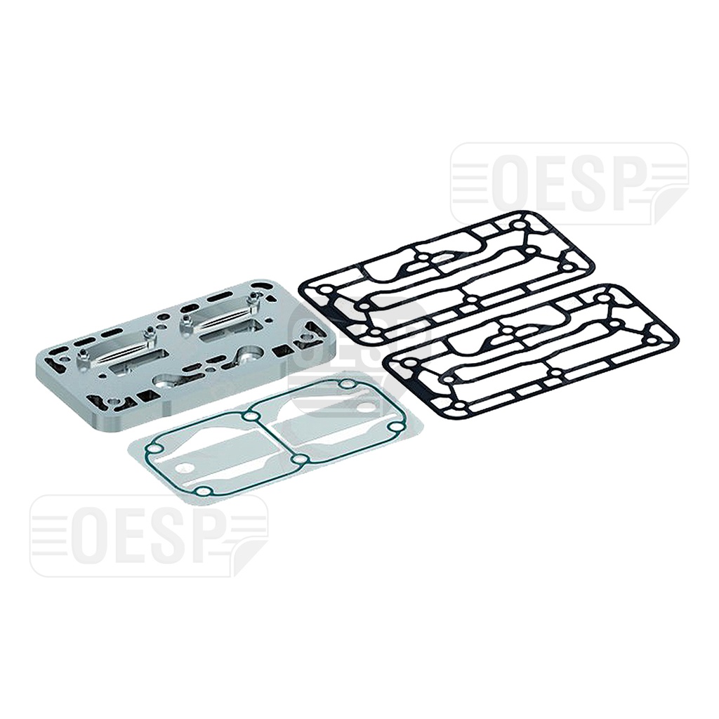 VALVE PLATE KIT