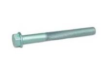 SCREW M24X2X220