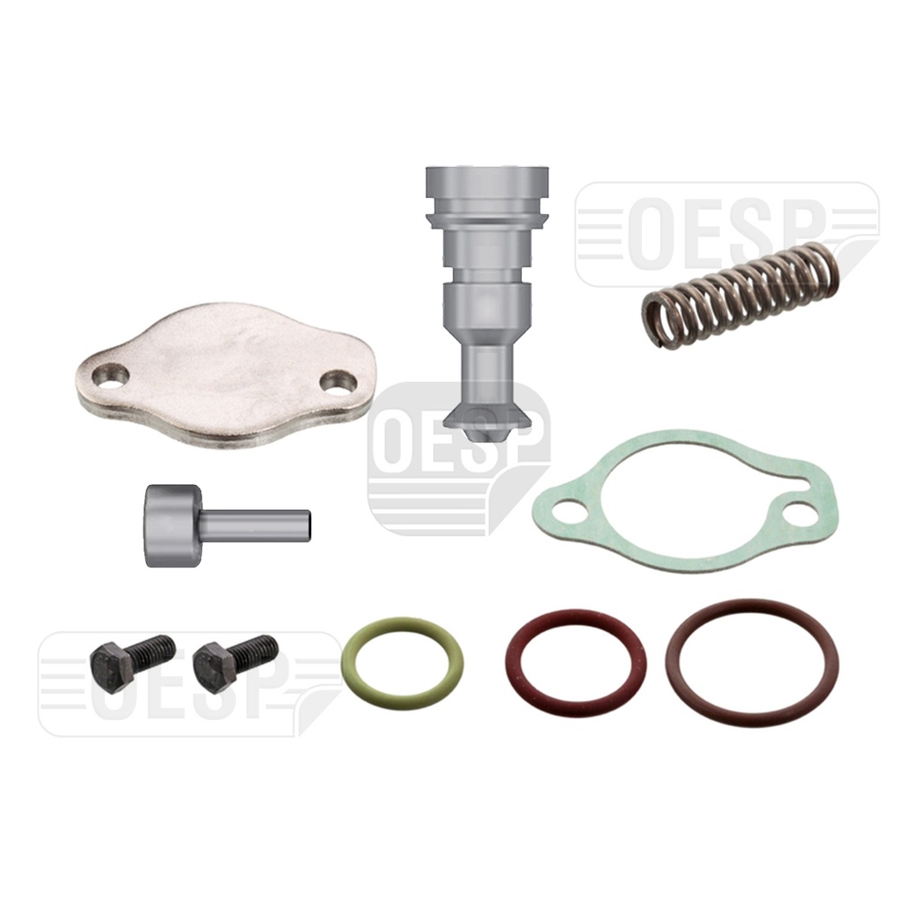 REPAIR KIT (RK.01.268.15)