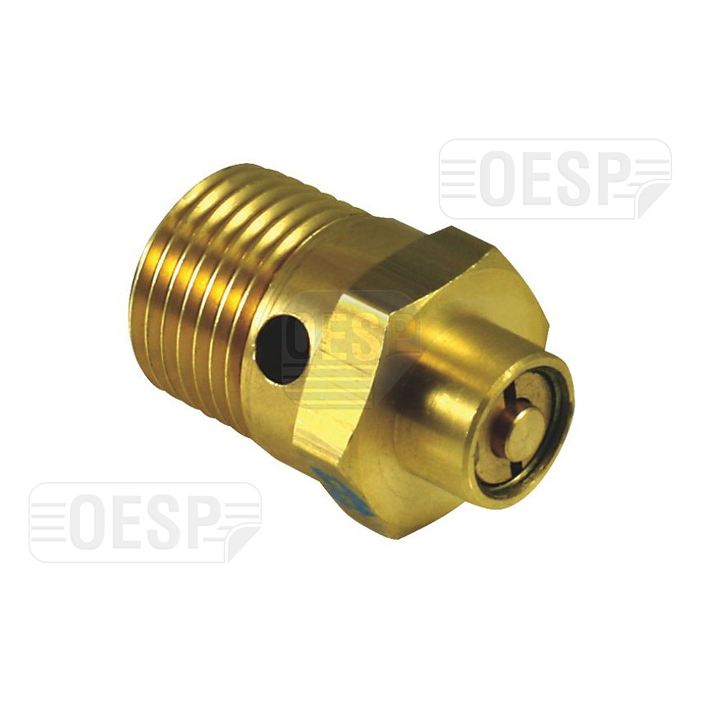 Emniyet Valfi (51.01.067)