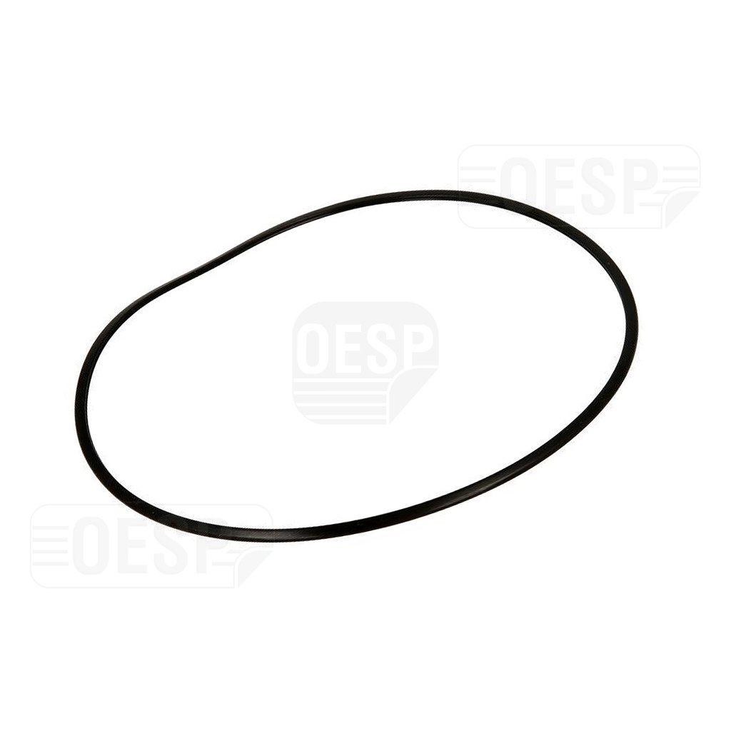 SEAL RING