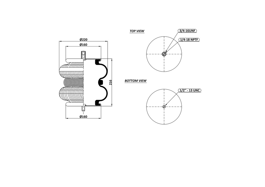 2B 220-09  Double Convulated Air Spring  (3/4-16 UNF / 1/4-18 NPTF) / 1/2-13 UNC 