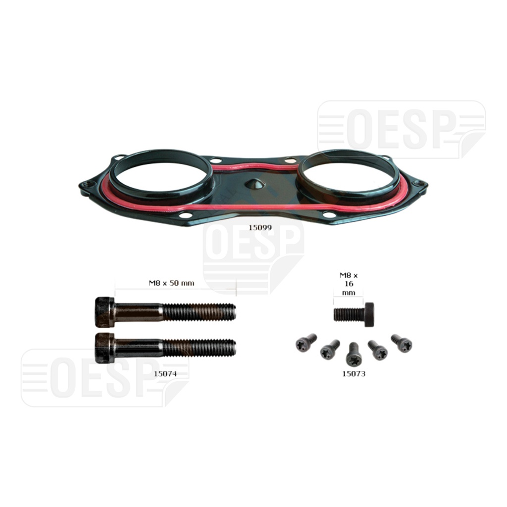 CALIPER COVER WITH NUT MP3