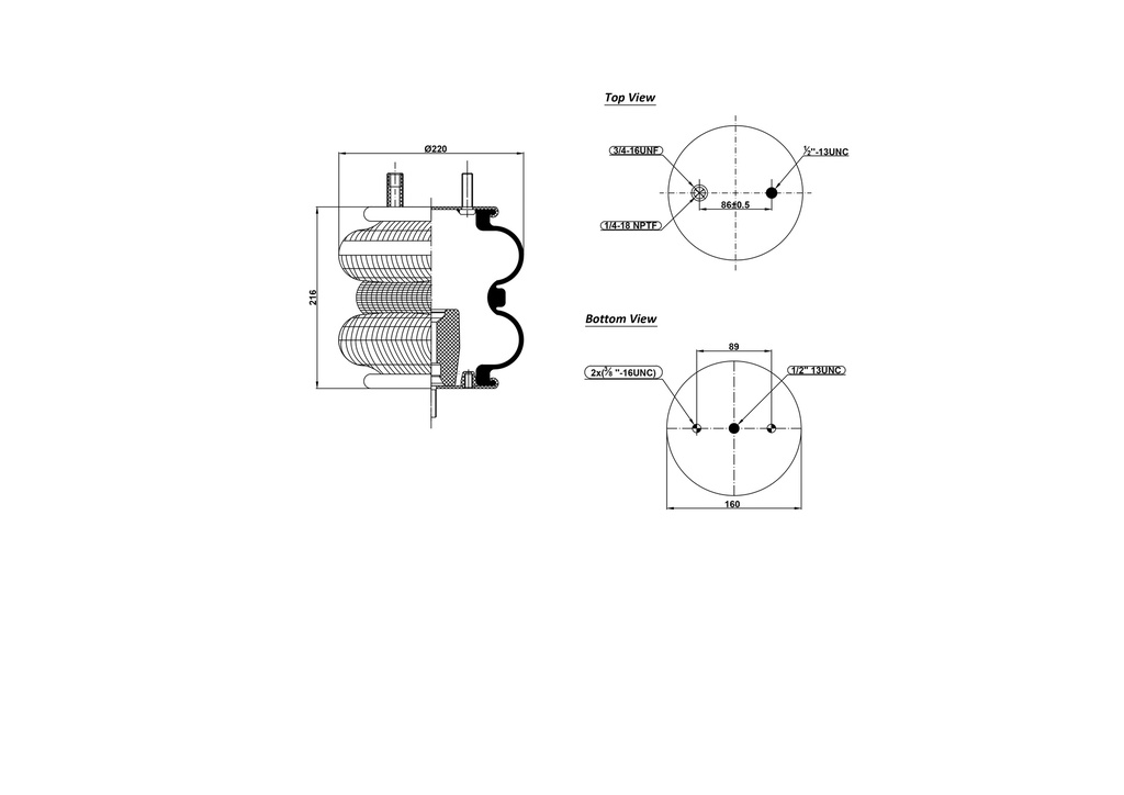2B 220  Double Convulated Air Spring  (3/4-16 UNF / 1/4-18 NPTF) / (1/2-13 UNC)