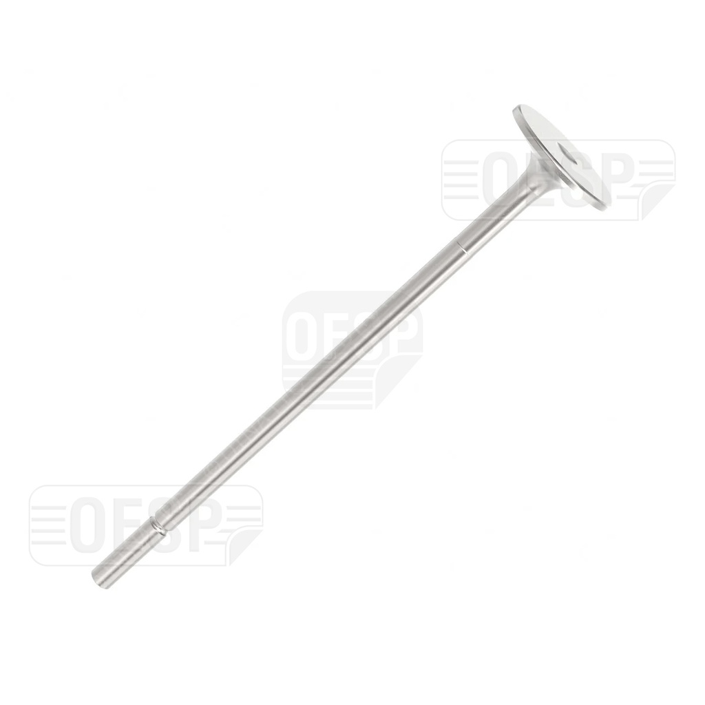 INTAKE VALVE