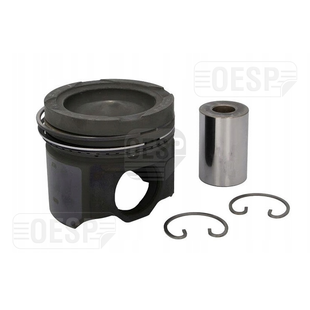 PISTON WITH RINGS AND PIN