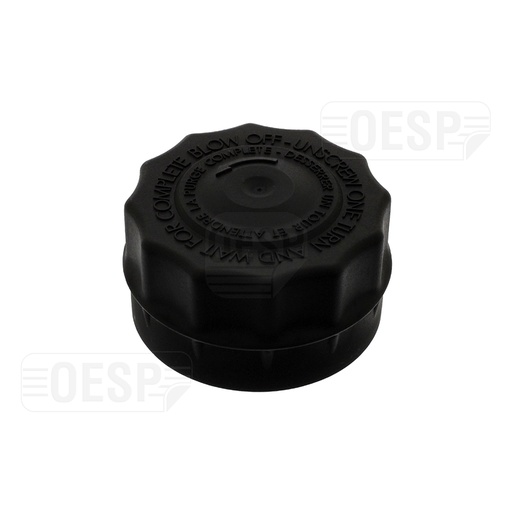 [DT_545243] COOLANT RESERVOIR CAP