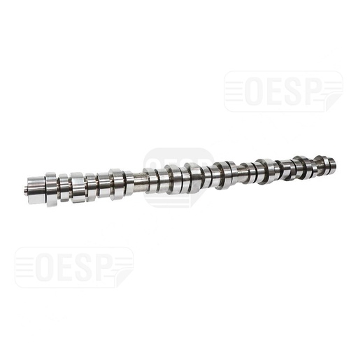 [3000231] CAMSHAFT