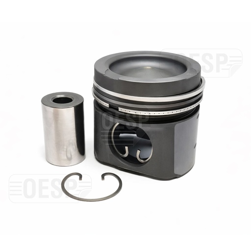 [5001906] PISTON SET