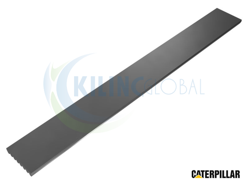[CTP_2129353] SERPENTINE CORREA
