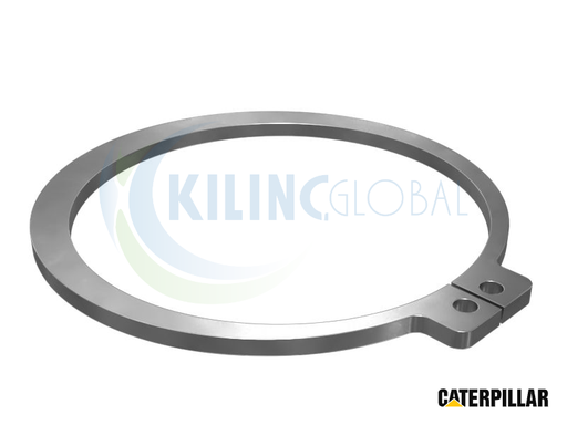 [CTP_3751442] VEER-RETAINING