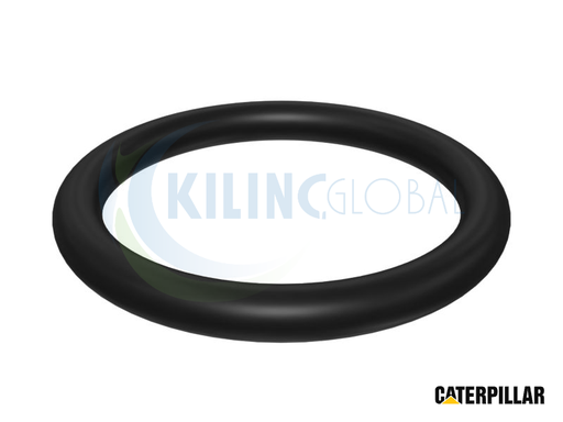 [CTP_5P8118] RING