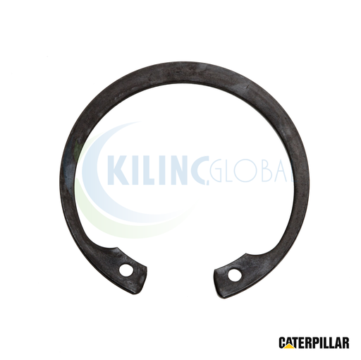 [CTP_1L7388] INTERNAL RETAINING SEGMENT