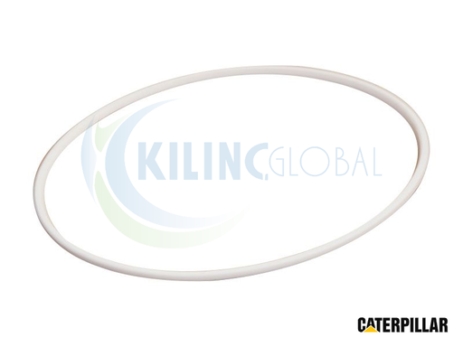 [CTP_7D8226] 170.30MM INNER DIAMETER ПЛАСТИК КОЛЬЦО САЛЬНИК