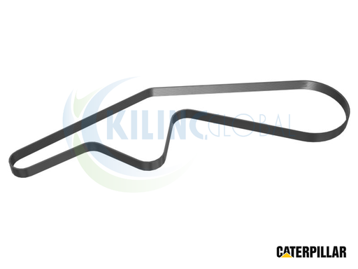 [CTP_2601527] SERPENTINE РЕМЕНЬ